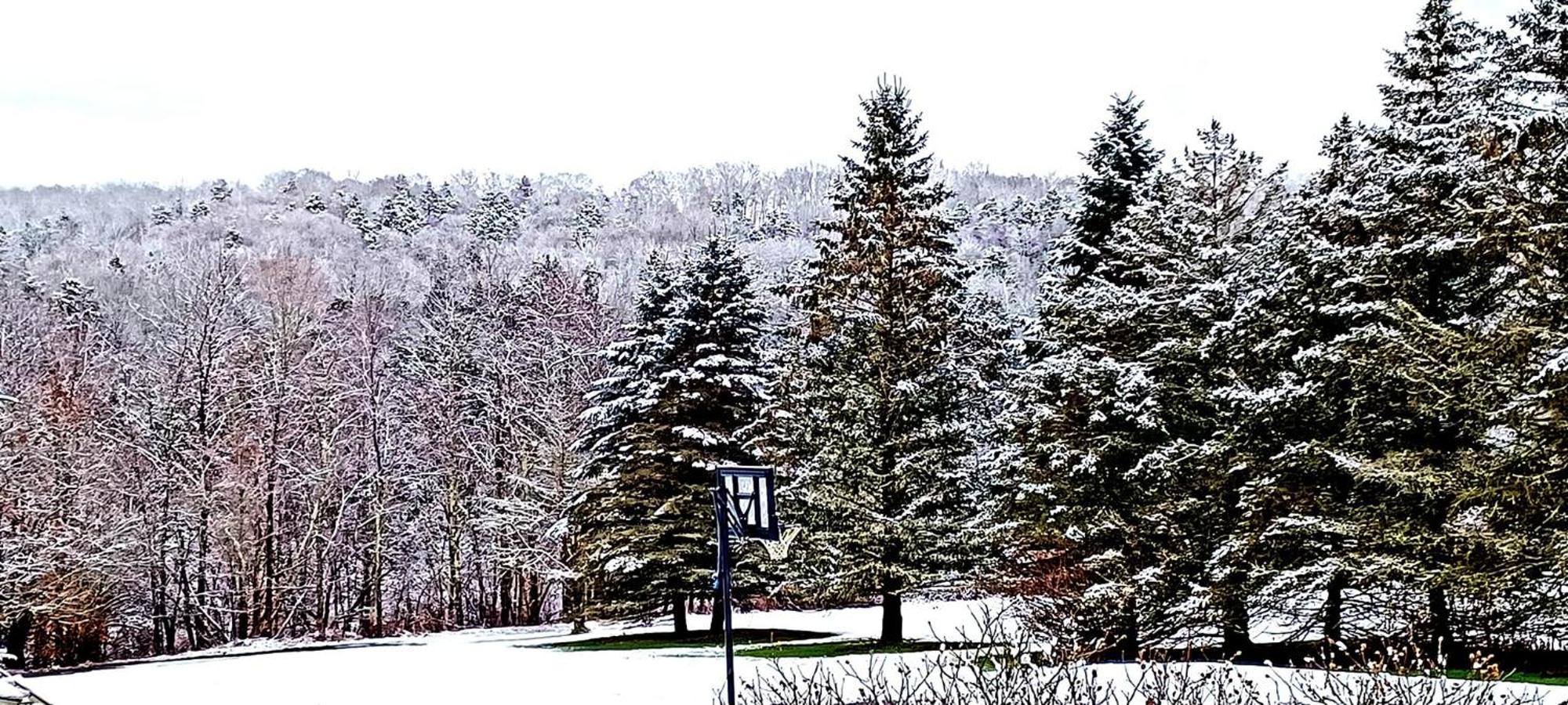 Escape To The Catskills Liberty Esterno foto