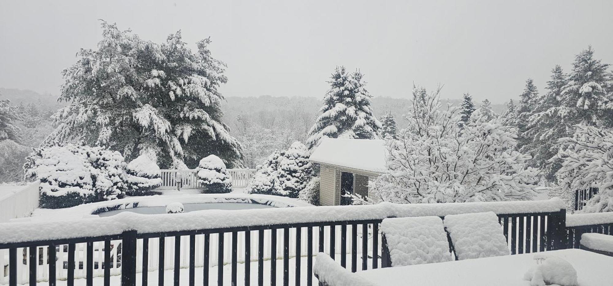 Escape To The Catskills Liberty Esterno foto